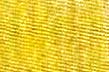 Lario
